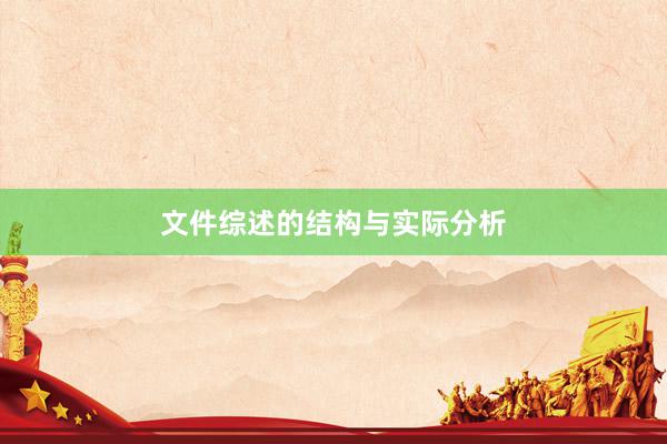 文件综述的结构与实际分析