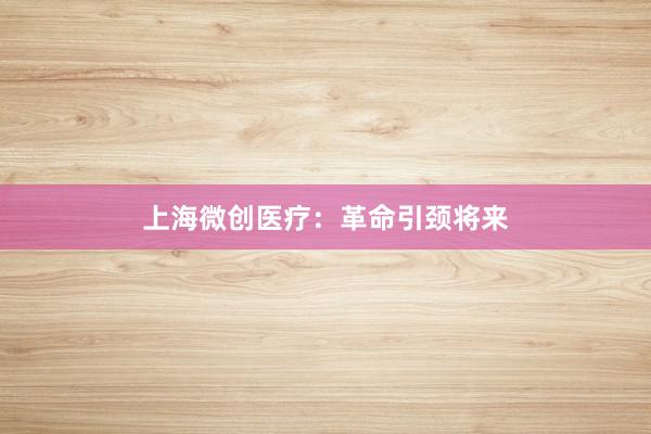 上海微创医疗：革命引颈将来