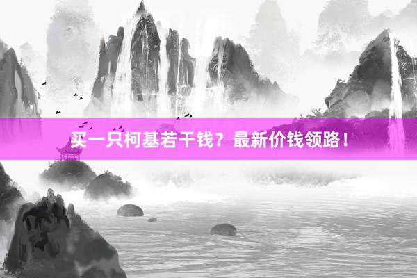 买一只柯基若干钱？最新价钱领路！