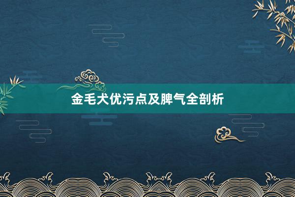 金毛犬优污点及脾气全剖析